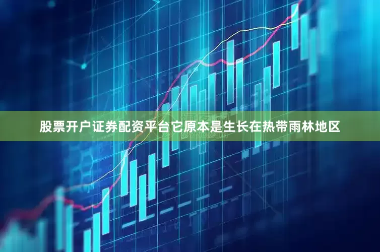 股票开户证券配资平台它原本是生长在热带雨林地区